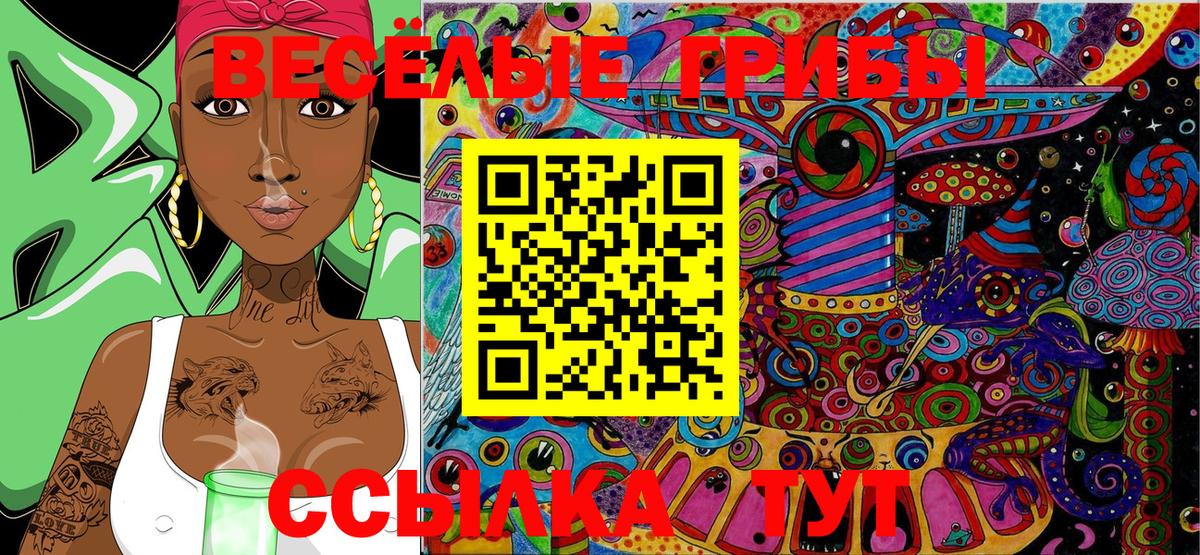 Псилоцибиновые грибы Psilocybe Рассказово