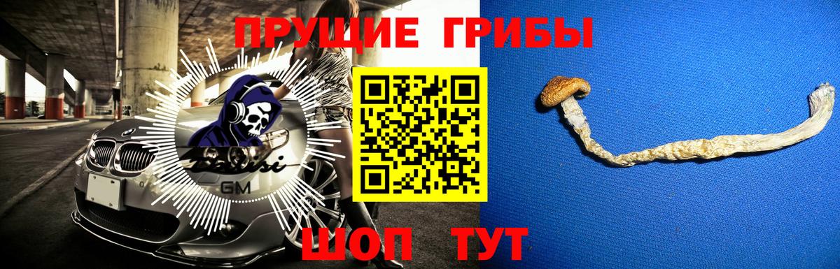 Галлюциногенные грибы мухоморы  Вход с VPN  Рассказово  Псилоцибиновые грибы Magic Shrooms 